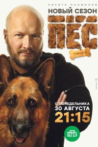 Пёс 1-6 сезон смотреть онлайн бесплатно - постер